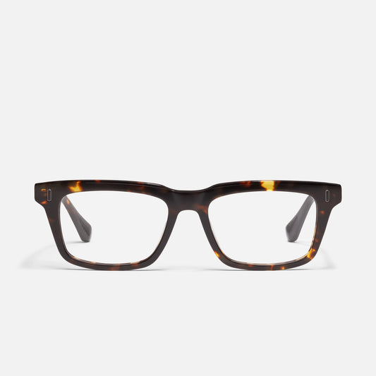 DEFINITION - Dark Tortoise